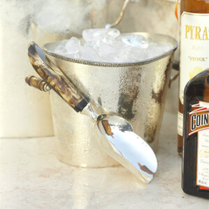 Wood Handle Stainless Steel Ice Scoop